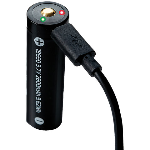 Image of Nightsearcher Nightsearcher Rechargeable Battery with Built-in Micro USB Charger