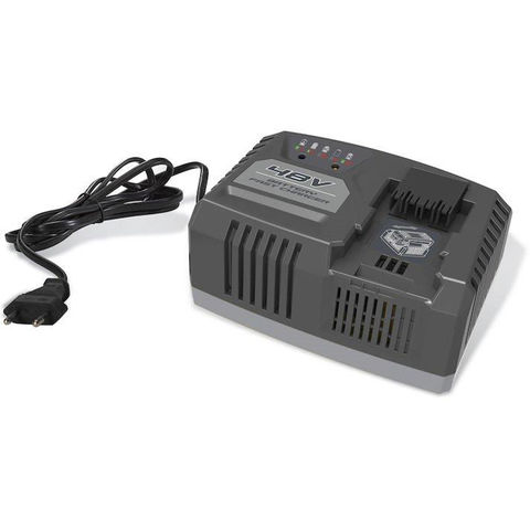 Image of Alpina Alpina 48V Li-ion Battery Fast Charger