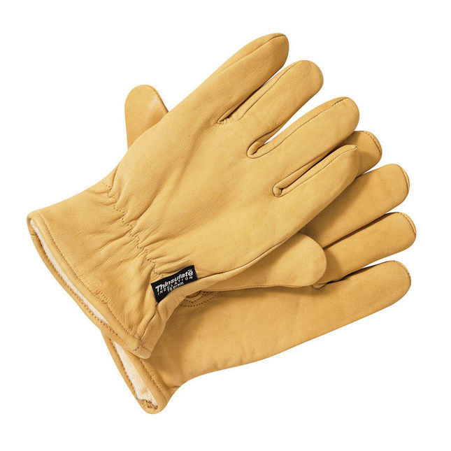 Image of Dickies Dickies GL0200 Lined Leather Gloves (XL)