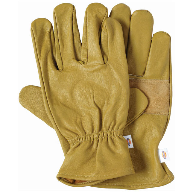 Image of Dickies Dickies Unlined Leather Work Gloves XL