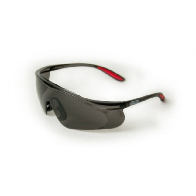 Image of Oregon Oregon Black Lens Safety Glasses With Black and Red Frame