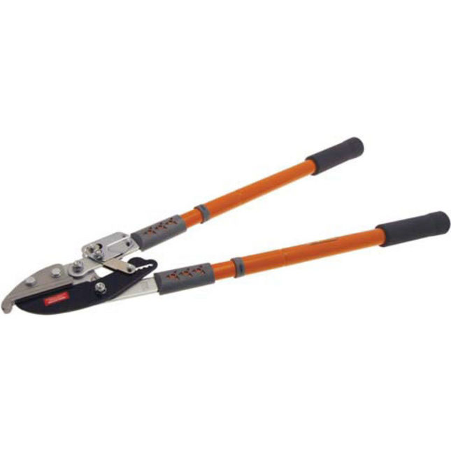 Image of Telescopic Ratchet Anvil Lopper