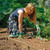 Draper 27436 Stainless Steel Heavy Duty Soft Grip Fork Trowel & Weeder Set (3pc) (Image thumbnail 2 of 2)