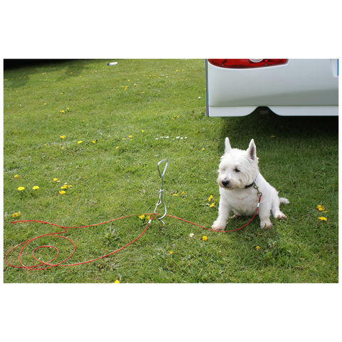 Image of Streetwize Streetwize LWACC493 Dog Anchor with Tether